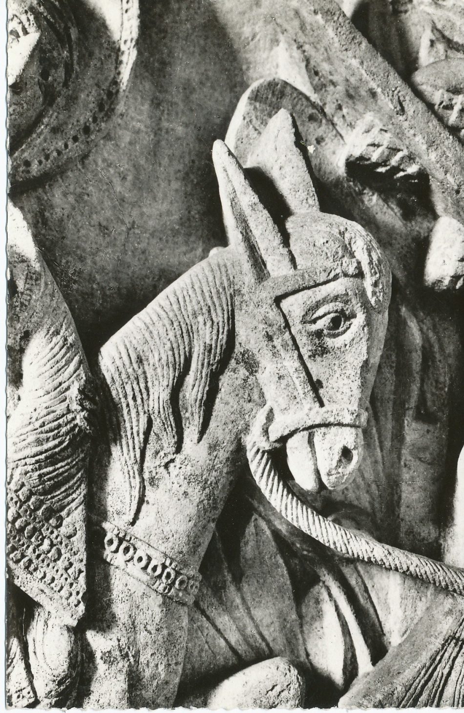 Cathédrale d'Autun. Ane de la fuite en Egypte. Chapiteau (XIIe s.).