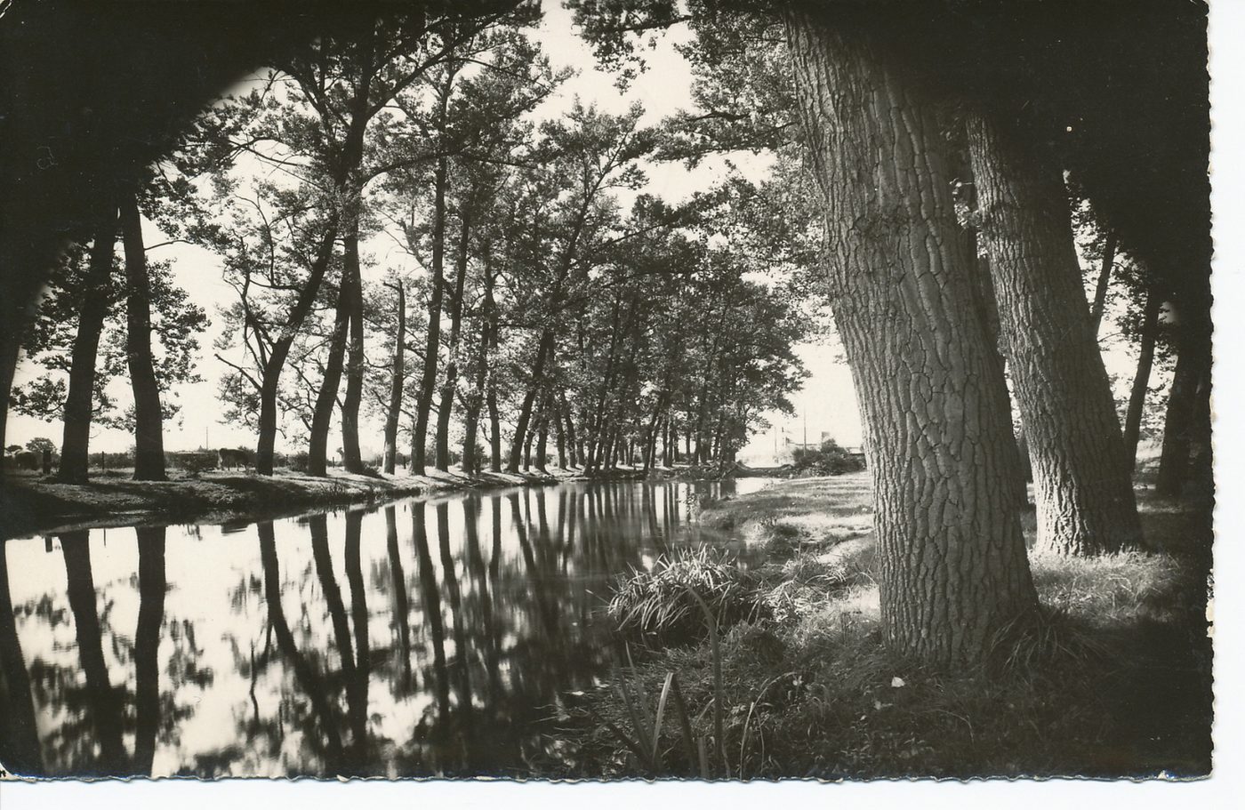 Autun. Les rives du Ternin.