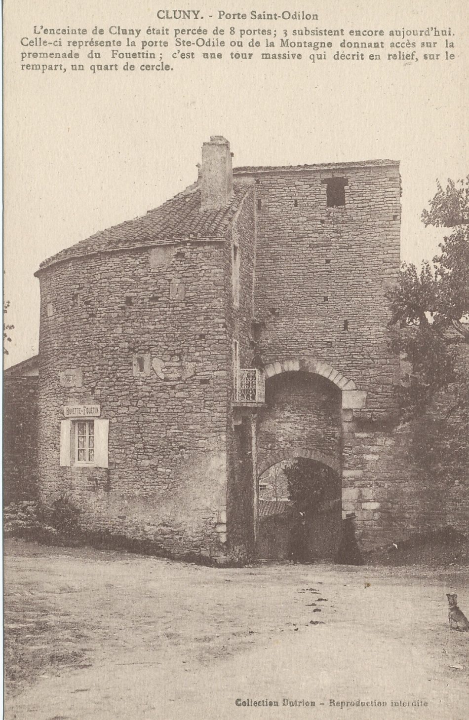 Cluny. Porte Saint-Odilon. L'enceinte de Cluny était percée de 8 portes ; 3 subsistent encore aujourd'hui. Celle-ci représente la porte Sainte-Odile ou de la Montagne donnant accès sur la promenade du Fouettin ; c'est une tour massive qui décrit en relief, sur le rempart, un quart de cercle.