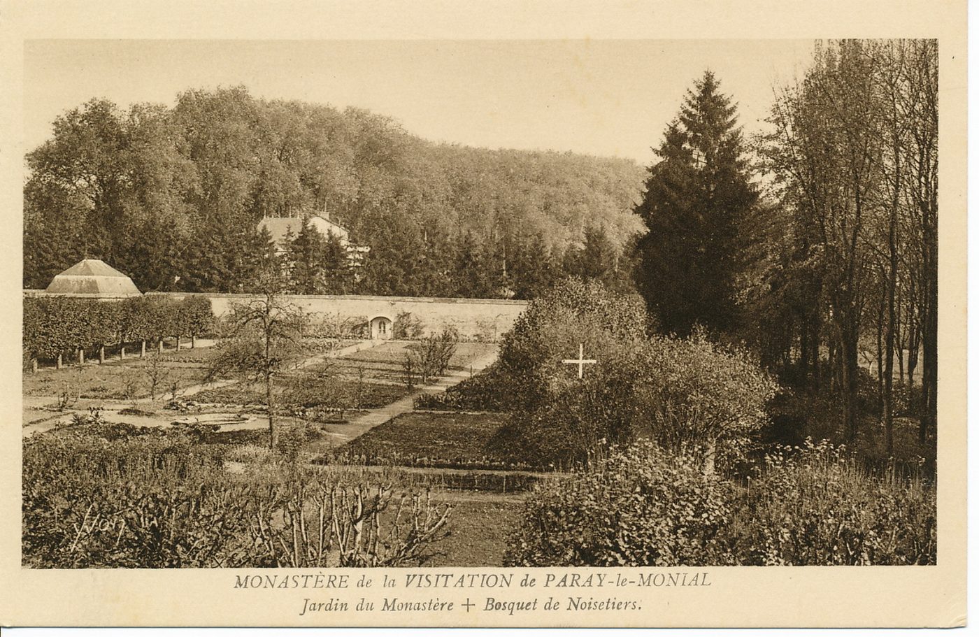 Monastère de la Visitation de Paray-le-Monial. Jardin du monastère. Bosquet de noisetiers.