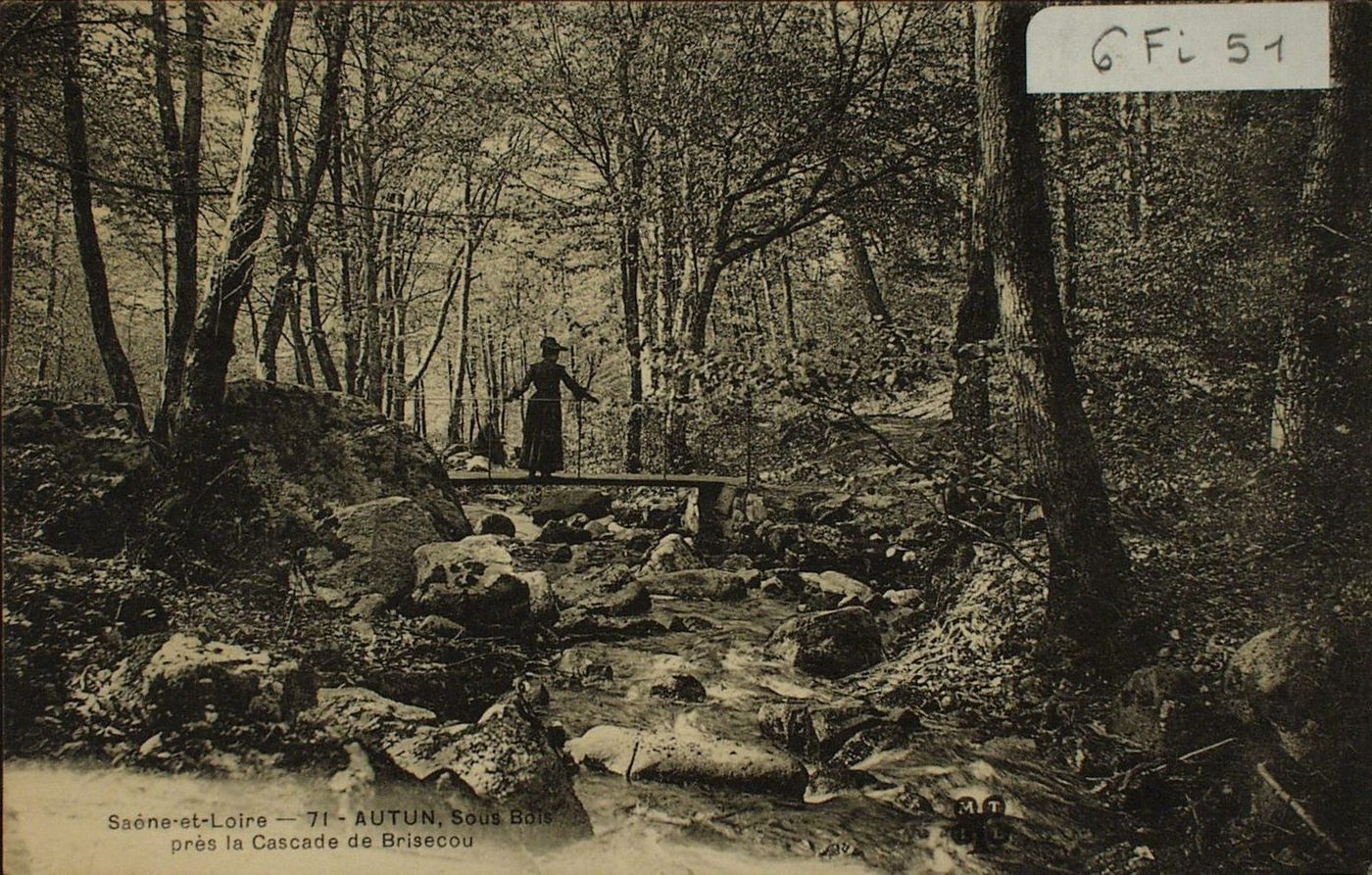 Autun. Sous bois près la cascade de Brisecou.
