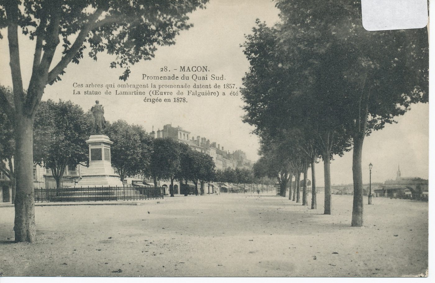 Mâcon. Promenade du quai Sud. Ces arbres qui ombragent la promenade datent de 1857. La statue de Lamartine (oeuvre de Falguière) a été érigée en 1878.