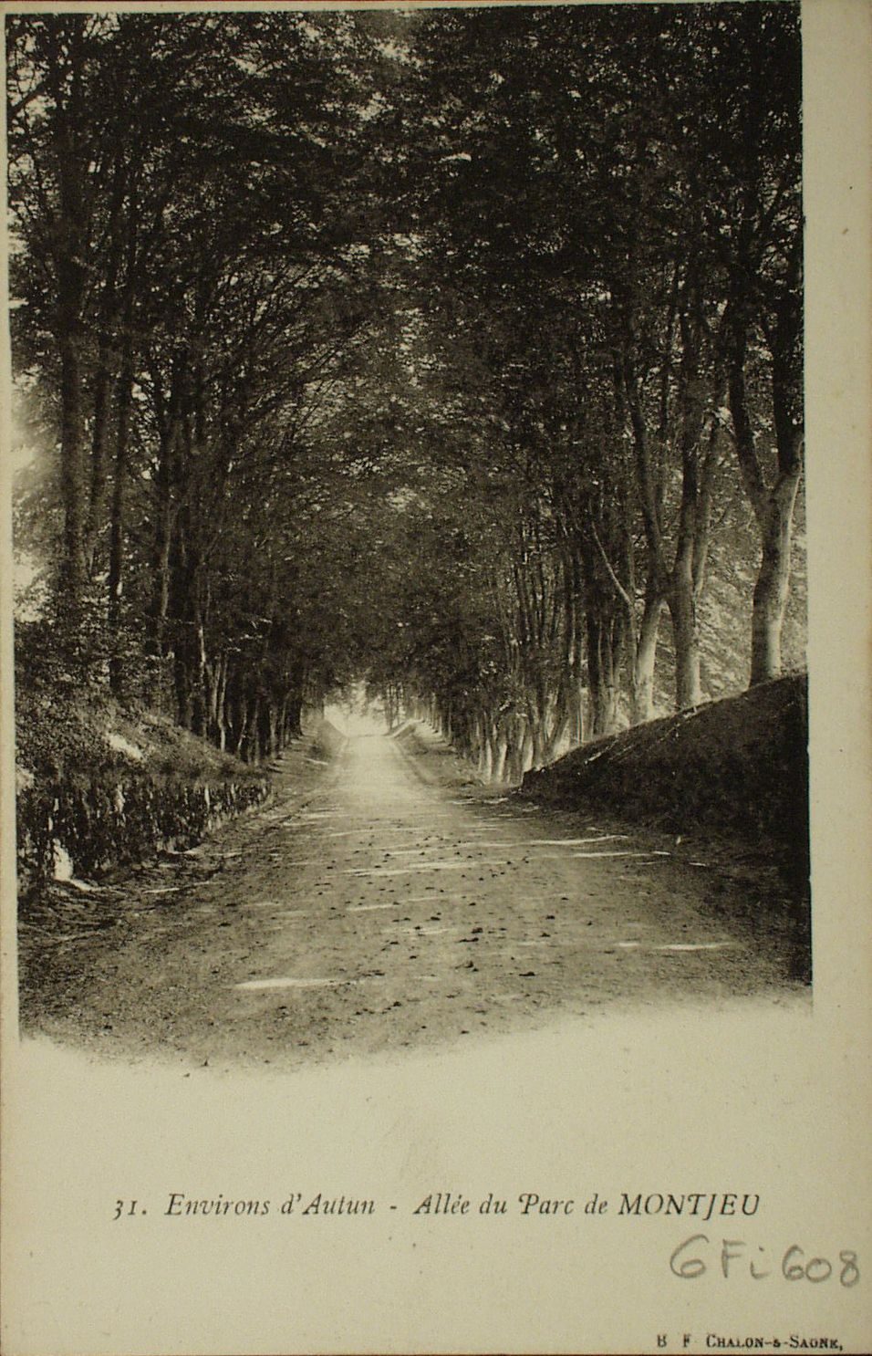 Environs d'Autun. Allée du parc de Montjeu.