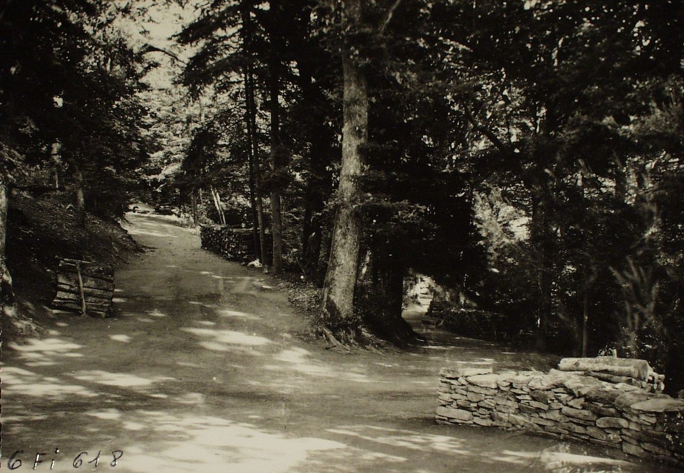 Broye. La forêt aux Merles.