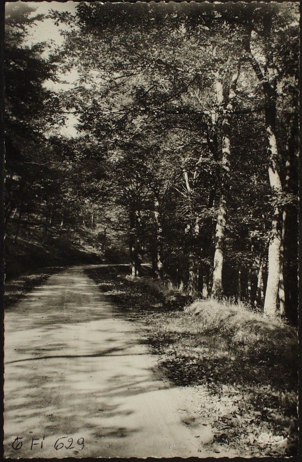 Buffières. Entrée du Bois de Château.