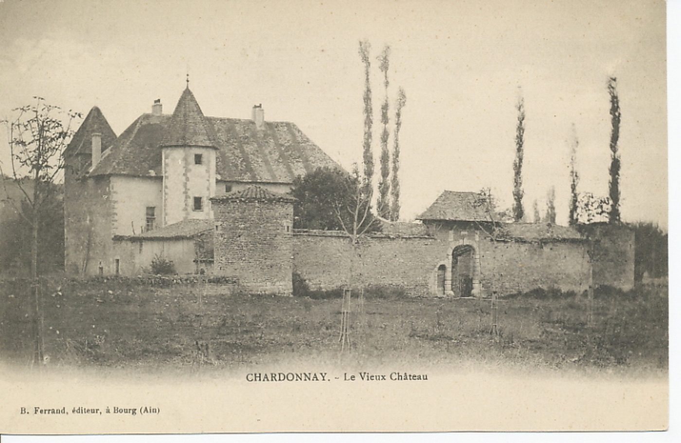 Chardonnay. Le vieux château.