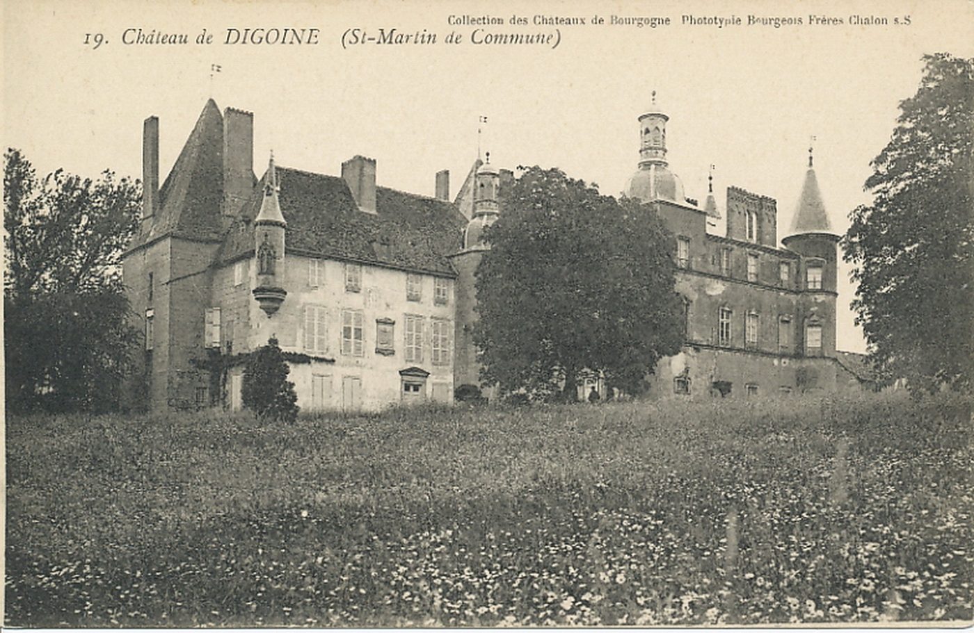 Château de Digoine (Saint-Martin-de-Commune)