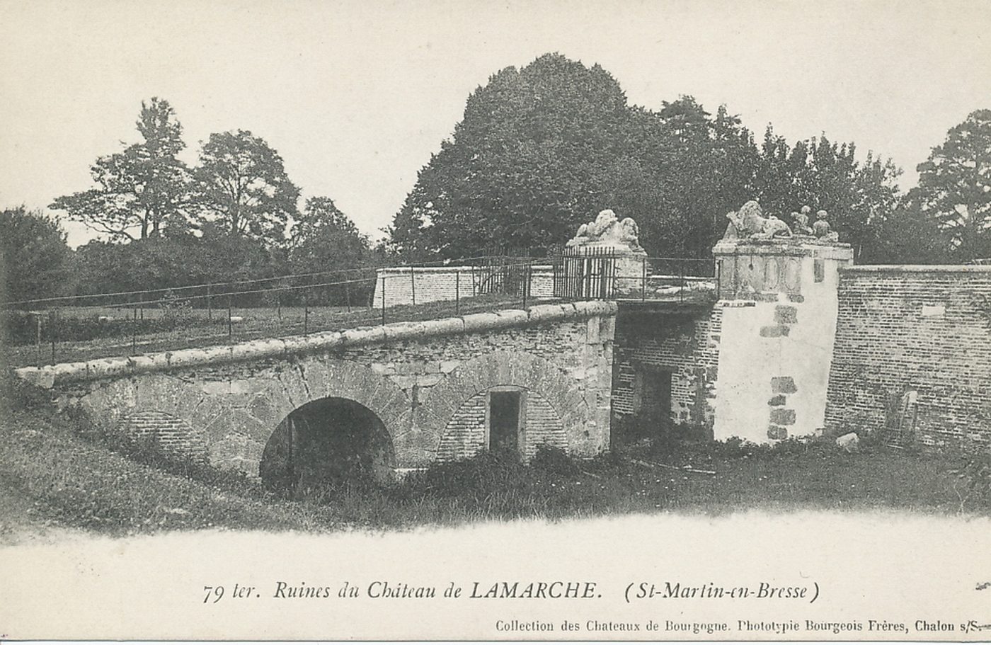 Ruines du château de Lamarche (Saint-Martin-en-Bresse).