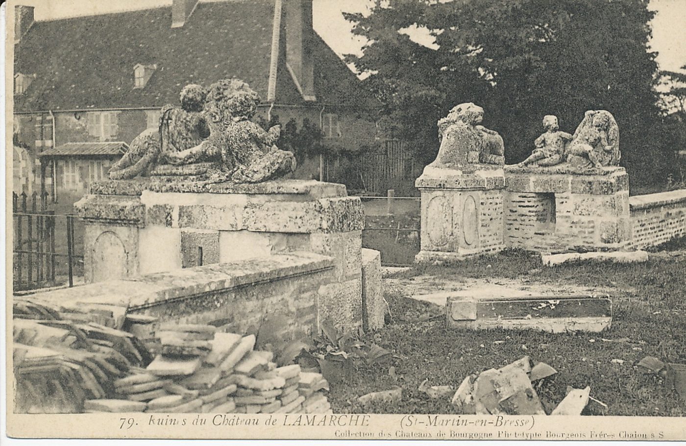 Ruines du château de Lamarche. Saint-Martin-en-Bresse.