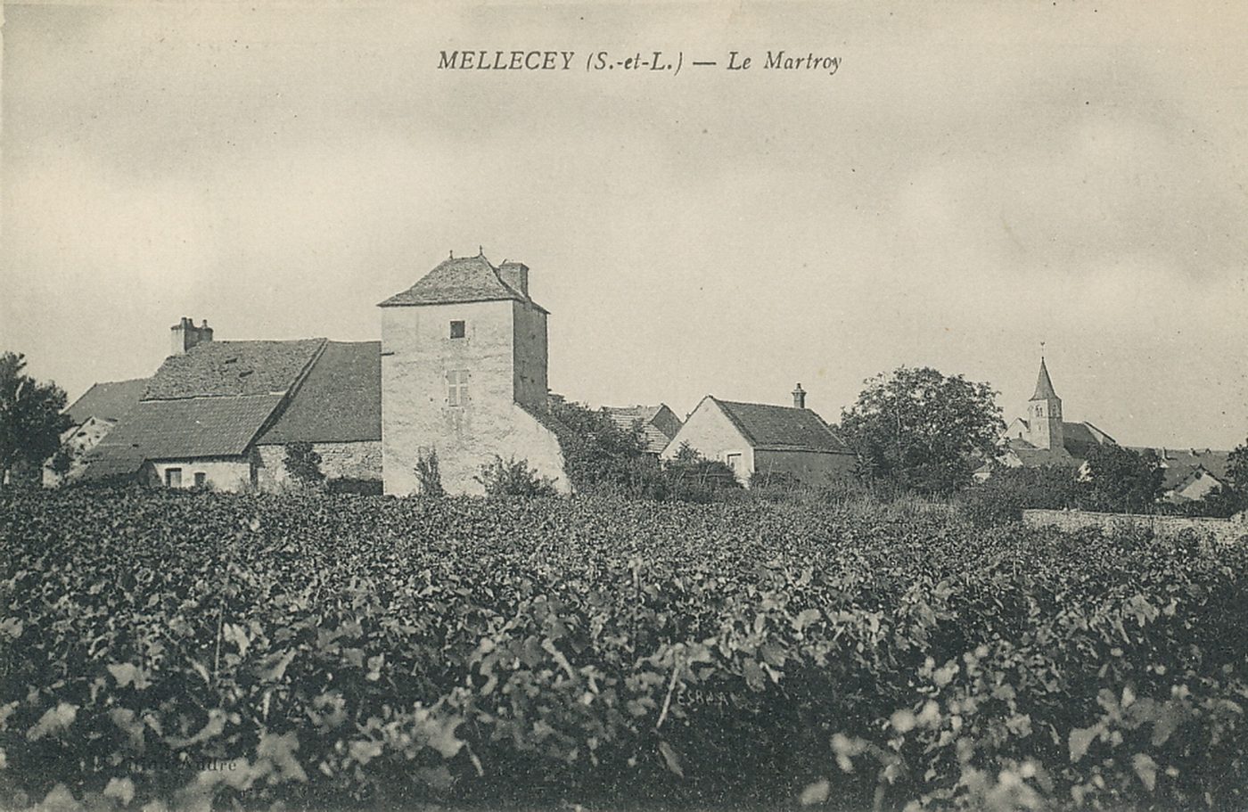 Mellecey. Le Martroy.