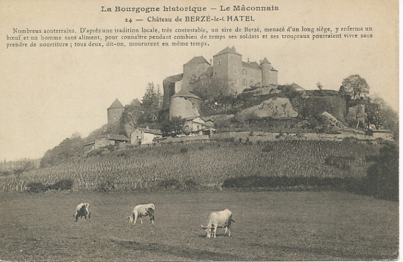 La Bourgogne historique. Le Mâconnais. Château de Berzé-le-Châtel. Nombreux souterrains. D'après une tradition locale, très contestable, un sire de Berzé, menacé d'un long siège, y enferma un boeuf et un homme sans aliment, pour connaître pendant combien de temps ses soldats et ses troupeaux pourraient vivre sans prendre de nourriture ; tous deux, dit-on, moururent en même temps.
