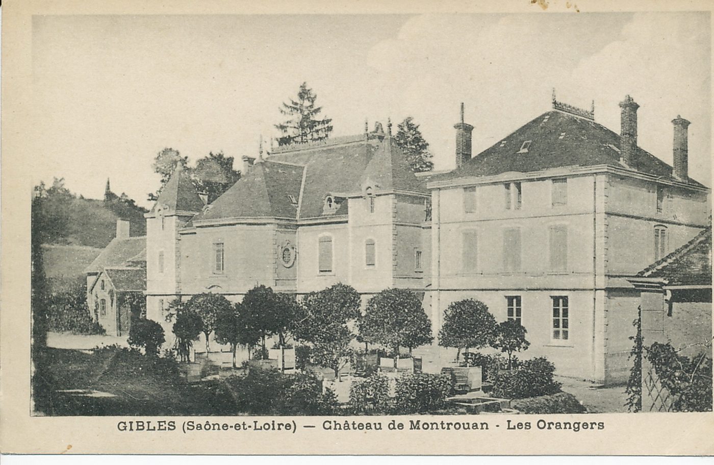 Gibles. Château de Montrouan. Les orangers.