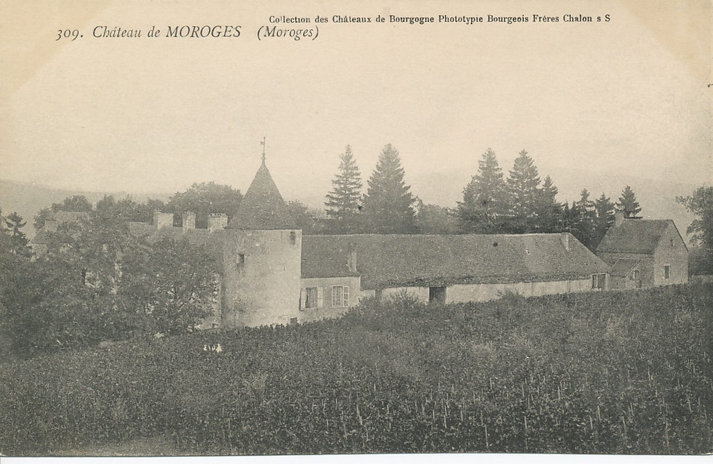 Château de Moroges (Moroges).