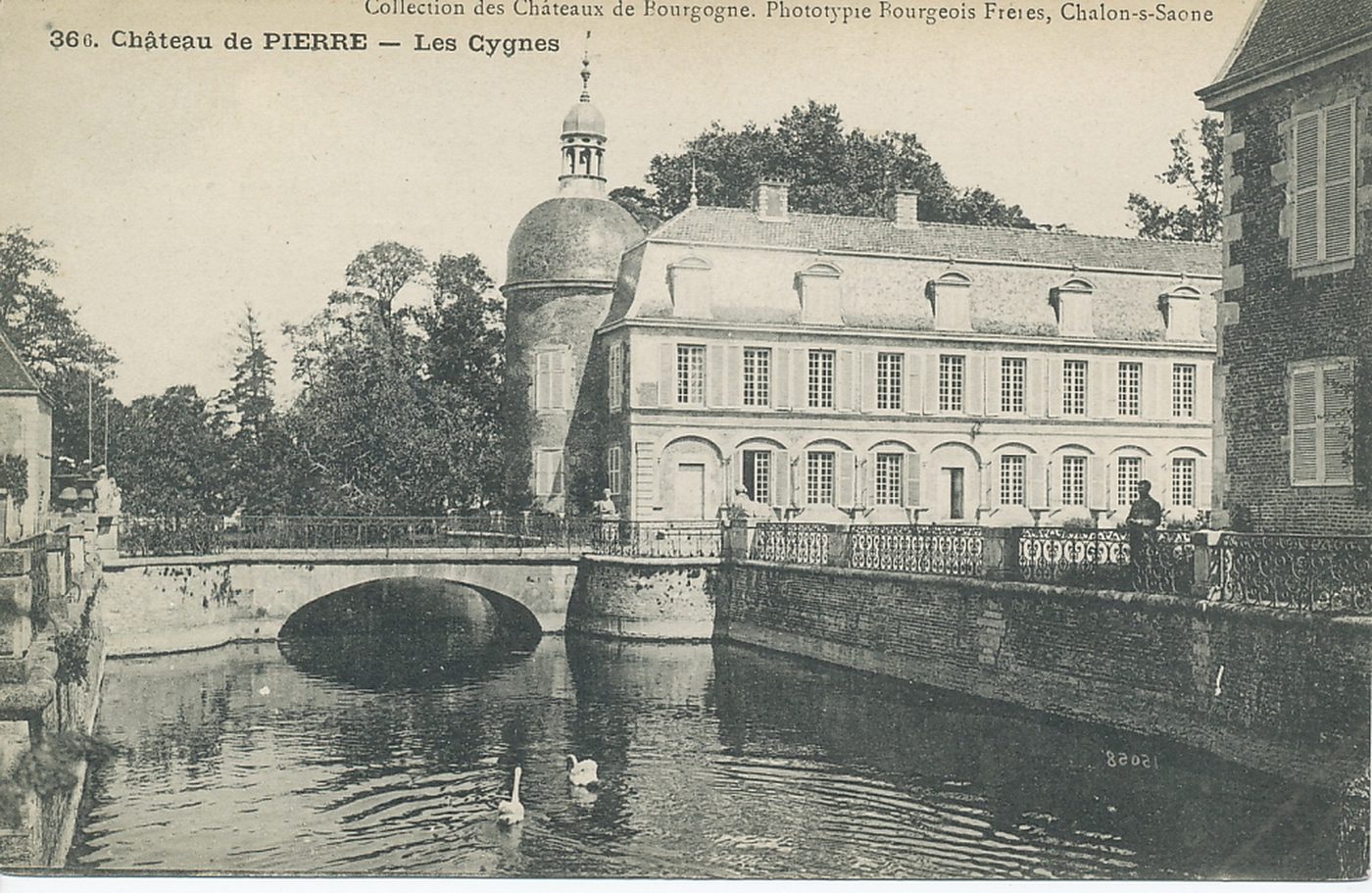 Château de Pierre. Les cygnes.
