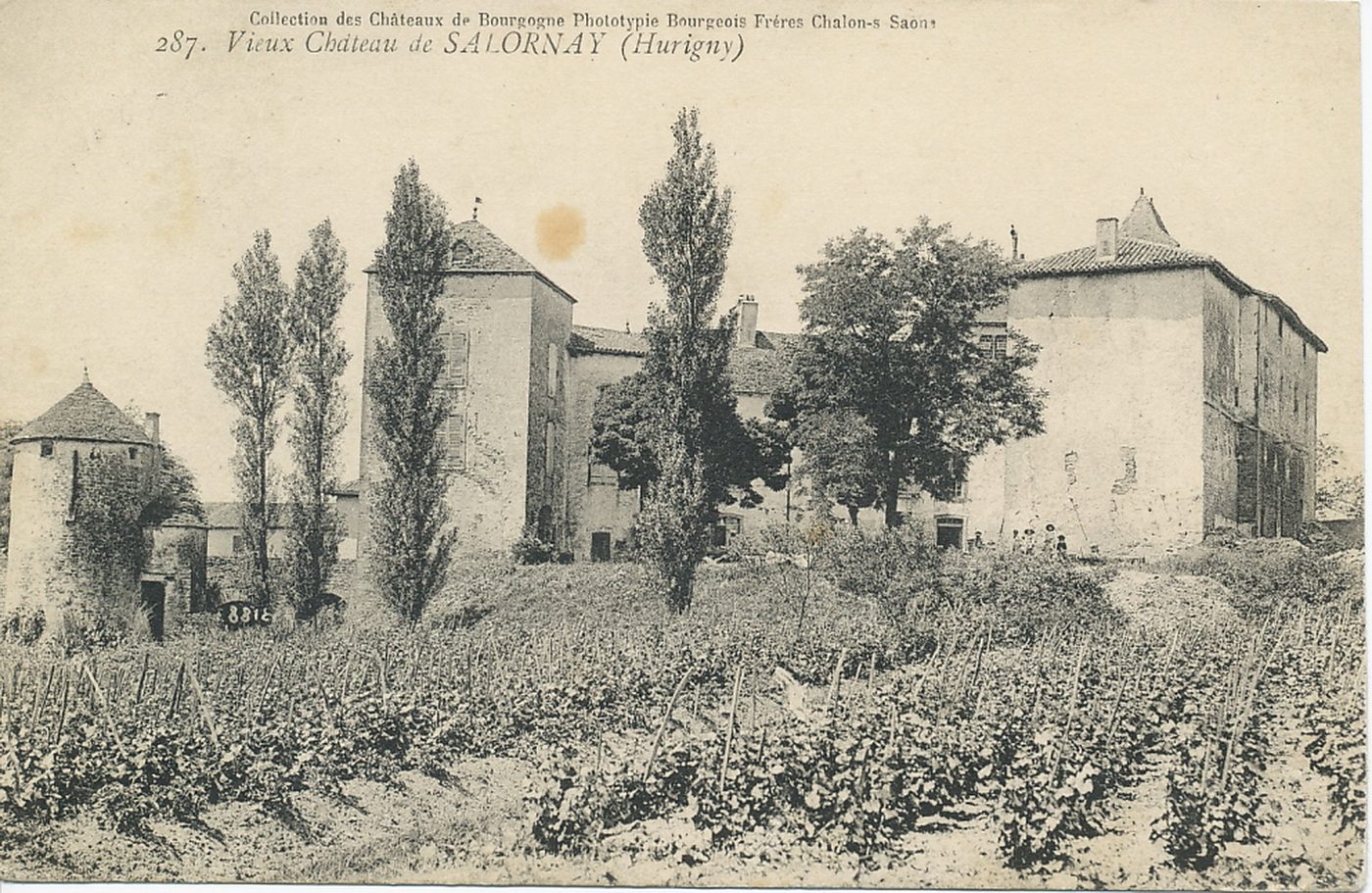 Vieux château de Salornay. (Hurigny).