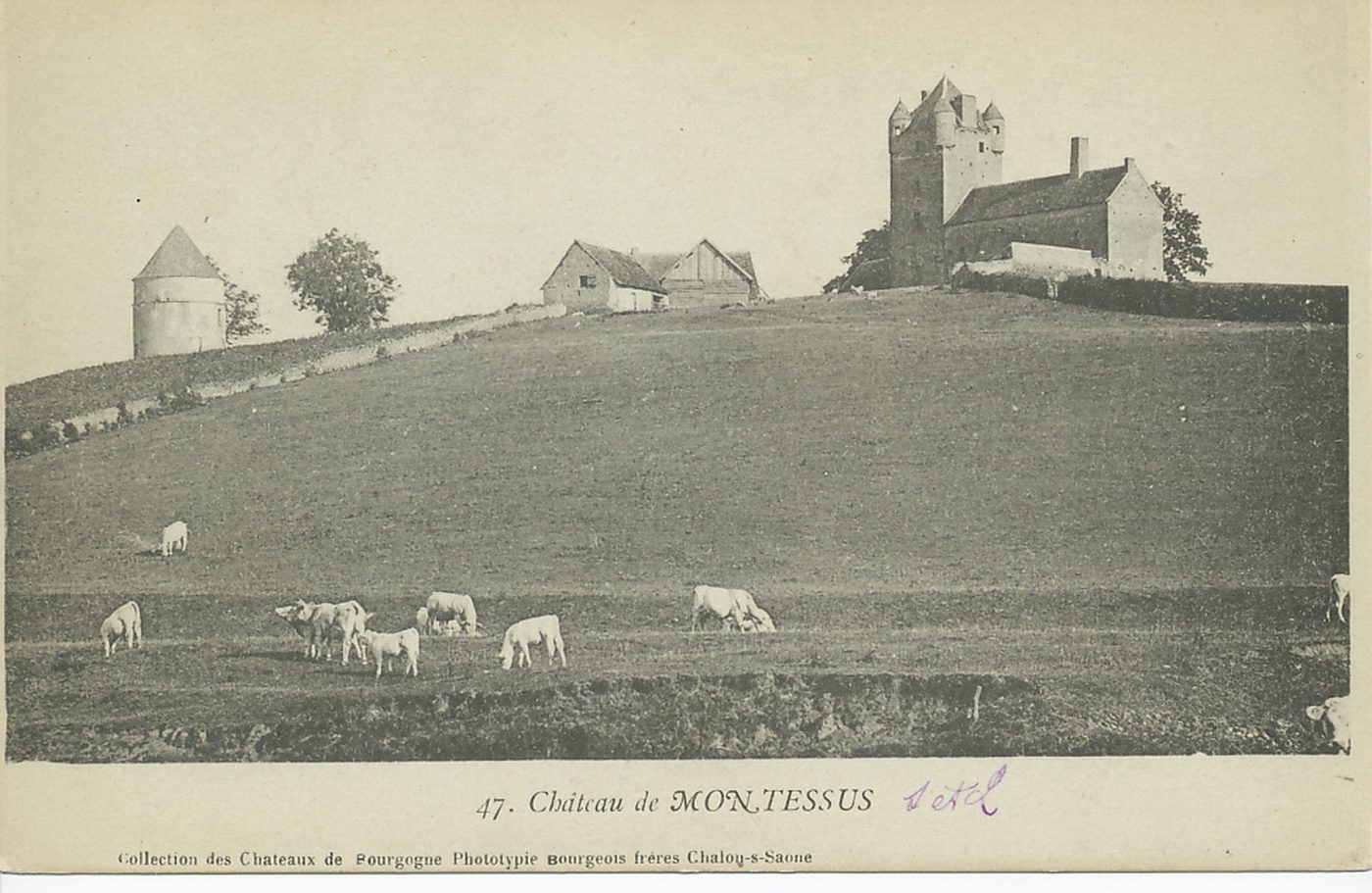 Château de Montessus.