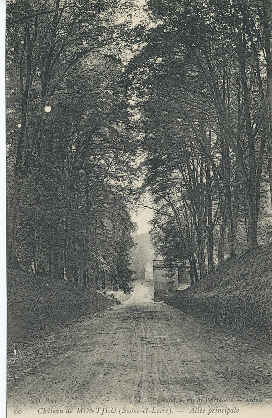 Château de Montjeu. Allée principale.