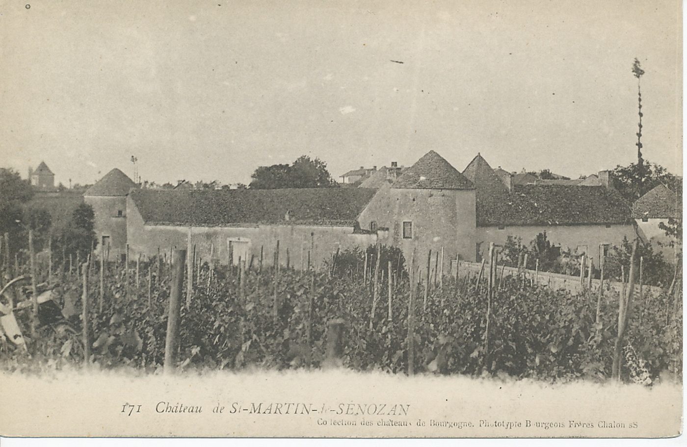 Château de Saint-Martin-de-Senozan.