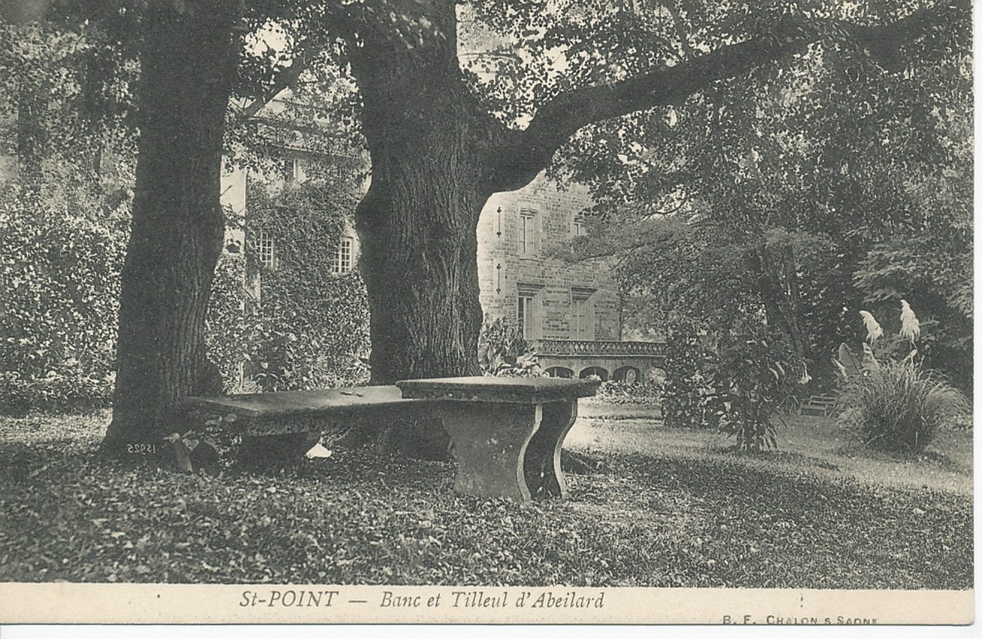 Saint-Point. Banc et tilleul d'Abélard.