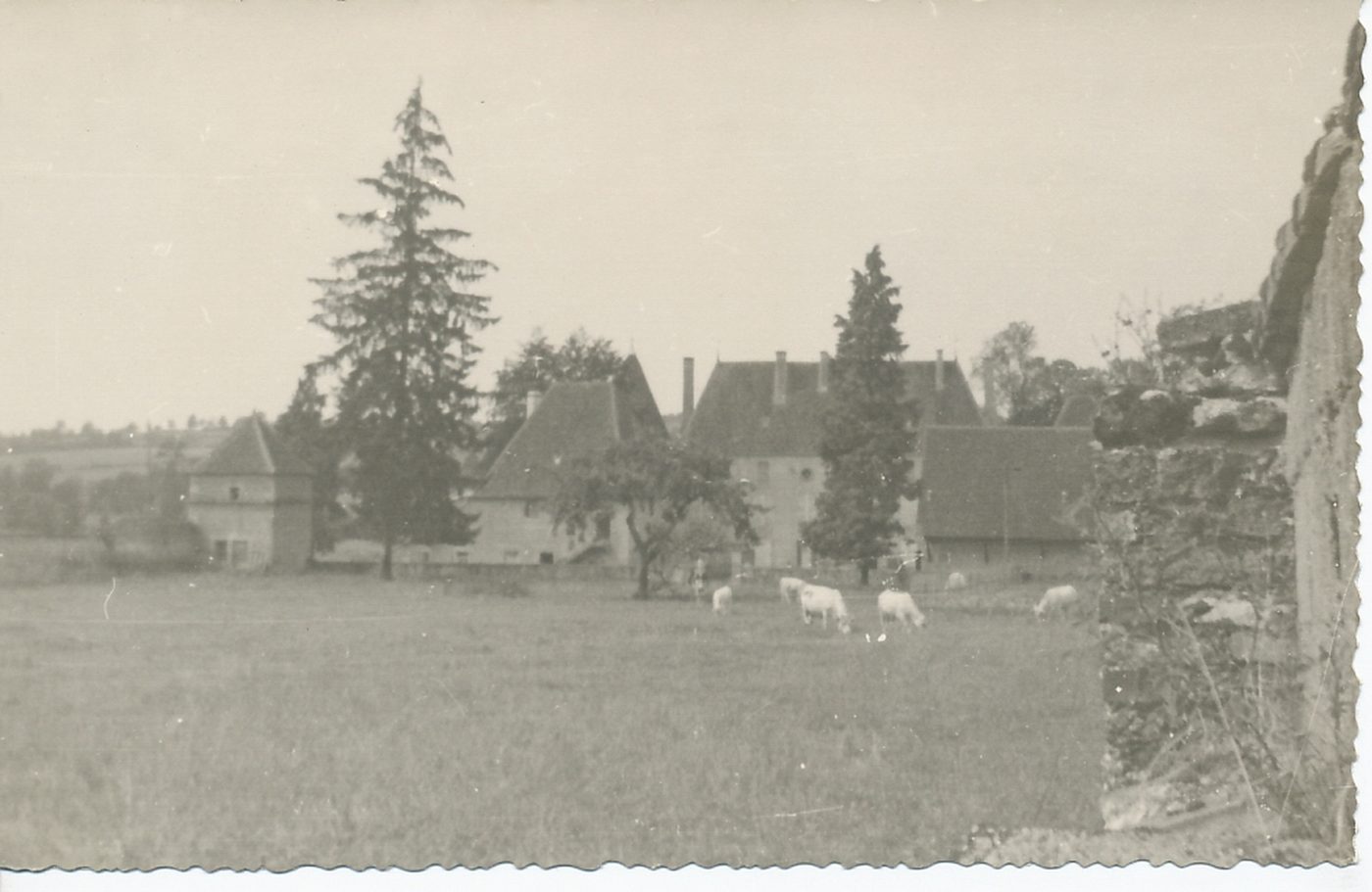 Terzé.