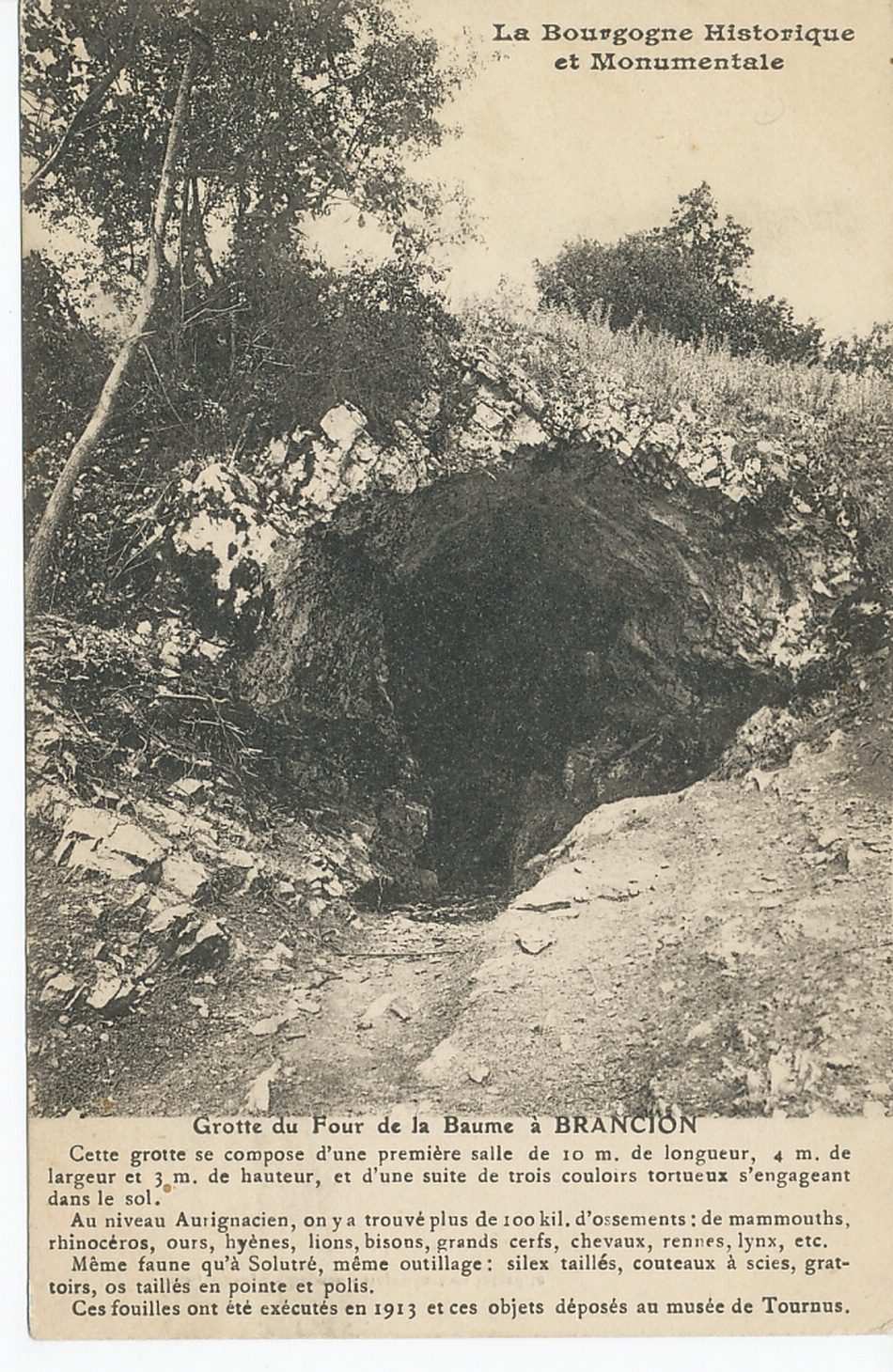 La Bourgogne historique et monumentale. Grotte du four de la Baume à Brancion. Cette grotte se compose d'une première salle de 10 m de longueur, 4 m de largeur et 3 m de hauteur, et d'une suite de trois couloirs tortueux s'engageant dans le sol. Au niveau Aurignacien, on y a trouvé plus de 100 kil. d'ossements : de mammouths, rhinocéros, ours, hyènes, lions, bisons, grands cerfs, chevaux, rennes, lynx, etc. Même faune qu'à Solutré, même outillage : silex taillés, couteaux à scies, grattoirs, os taillés en pointe et polis. Ces fouilles ont été exécutés en 1913 et ces objets déposés au musée de Tournus.