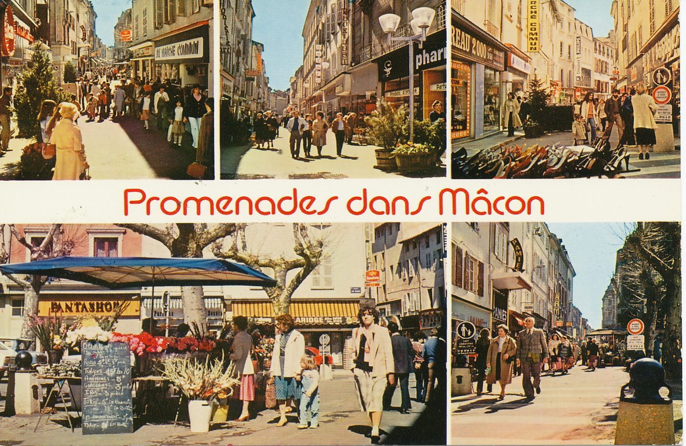 Promenades dans Mâcon.