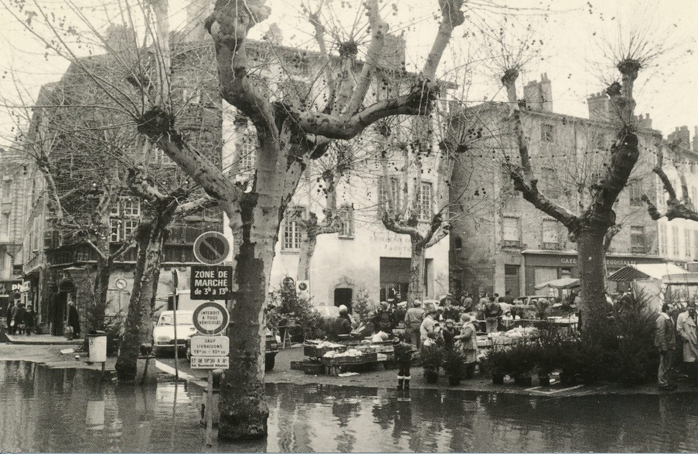 Mâcon. Crue de la Saône. Décembre 1981. Place aux Herbes. Pour des raisons indépendantes de leur volonté, les marchands de sapins de Noël ont du opérer un recul stratégique.....Histoire des crues. 1955 (suite). La rupture de la digue de Verjux, près de Chalon, provoqua une montée catastrophique dans les environs immédiats de cet ouvrage. Les gens durent se réfugier sur les toits. Cette libération brutale des eaux, contrairement à la crainte générale, évita le pire à Chalon et à Mâcon.
