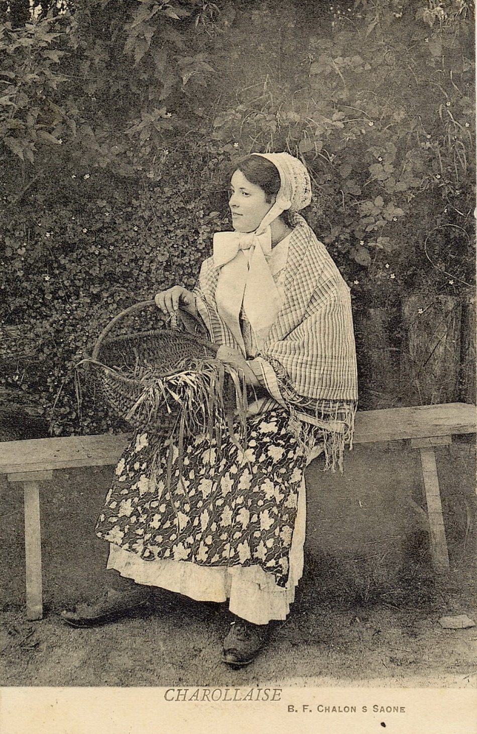 Charollaise.