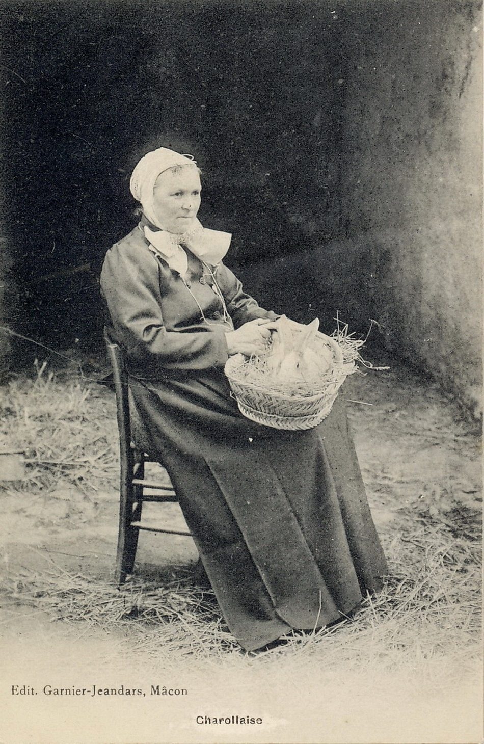 Charollaise.