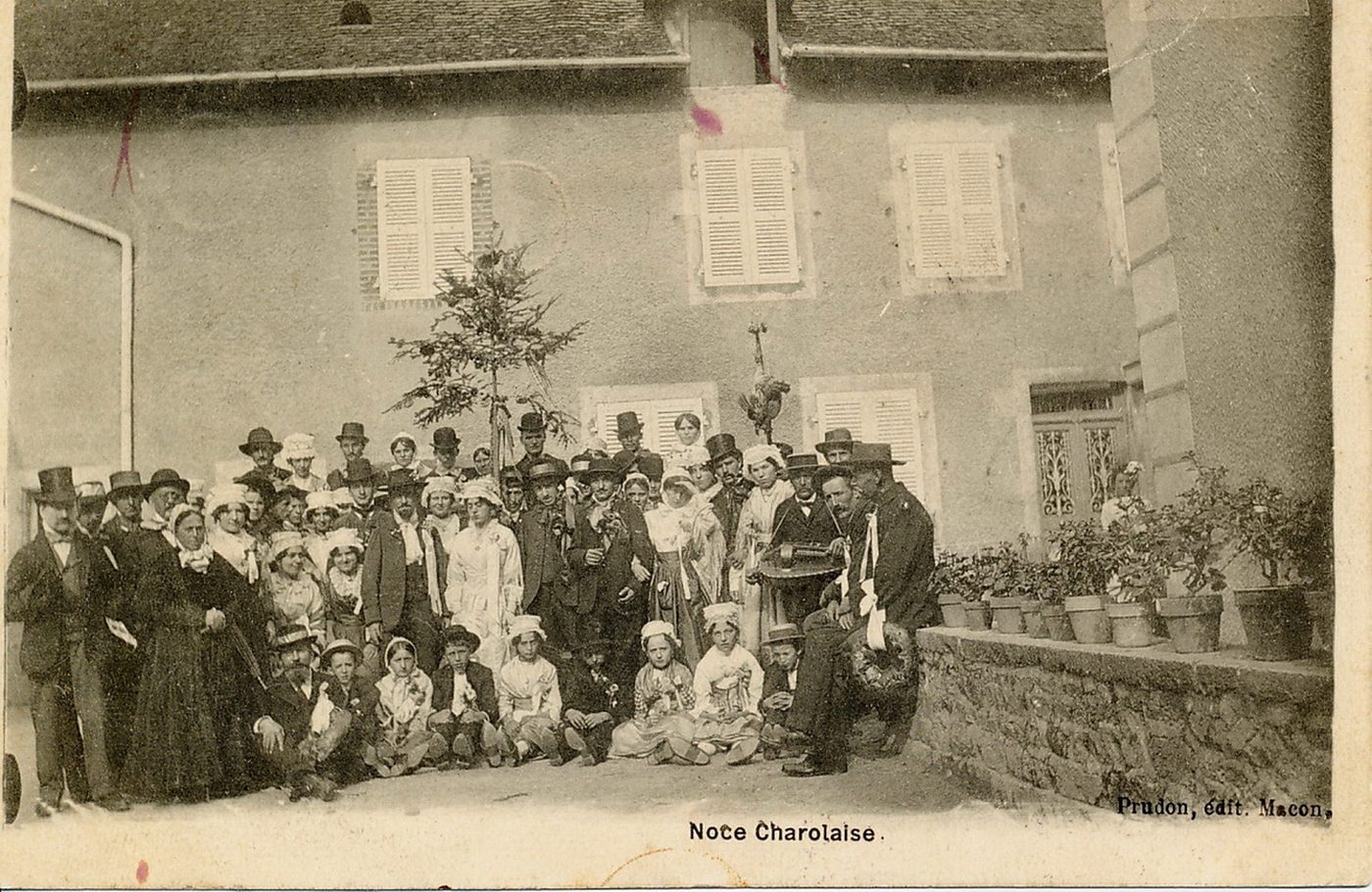 Noce charolaise.