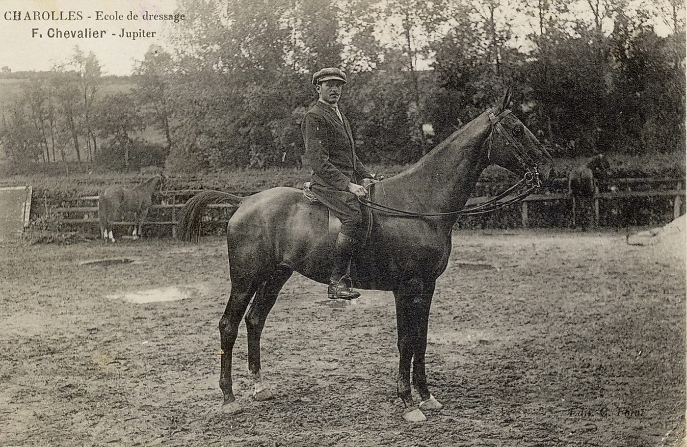 Charolles. Ecole de dressage F. Chevalier, Jupiter.