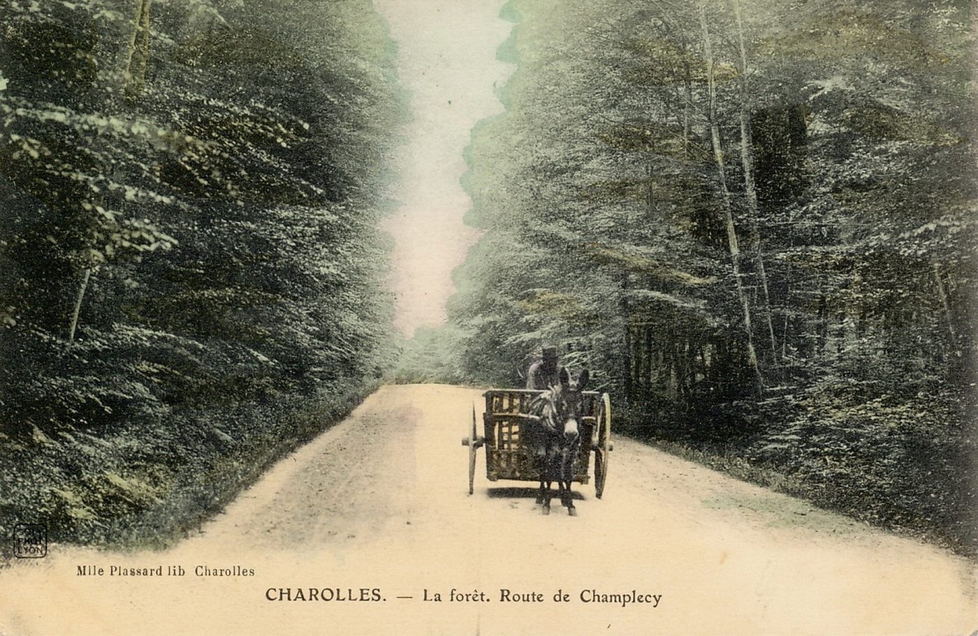 Charolles. La forêt. Route de Champlecy.