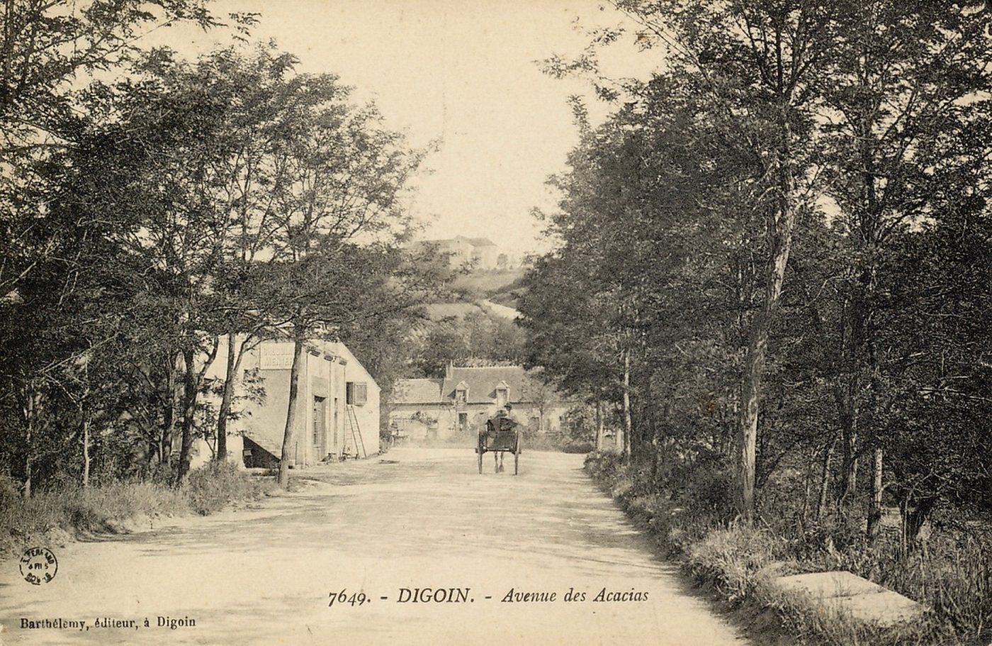 Digoin. Avenue des Acacias.