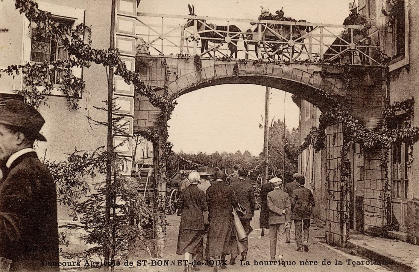 Concours agricole de Saint-Bonnet-de-Joux. La bourrique nère de la Tçarollaise.