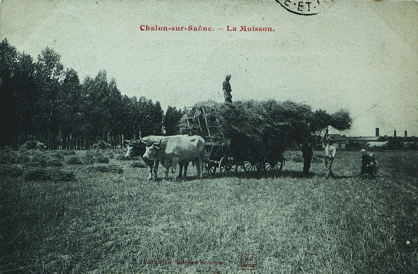 Chalon-sur-Saône. La moisson.