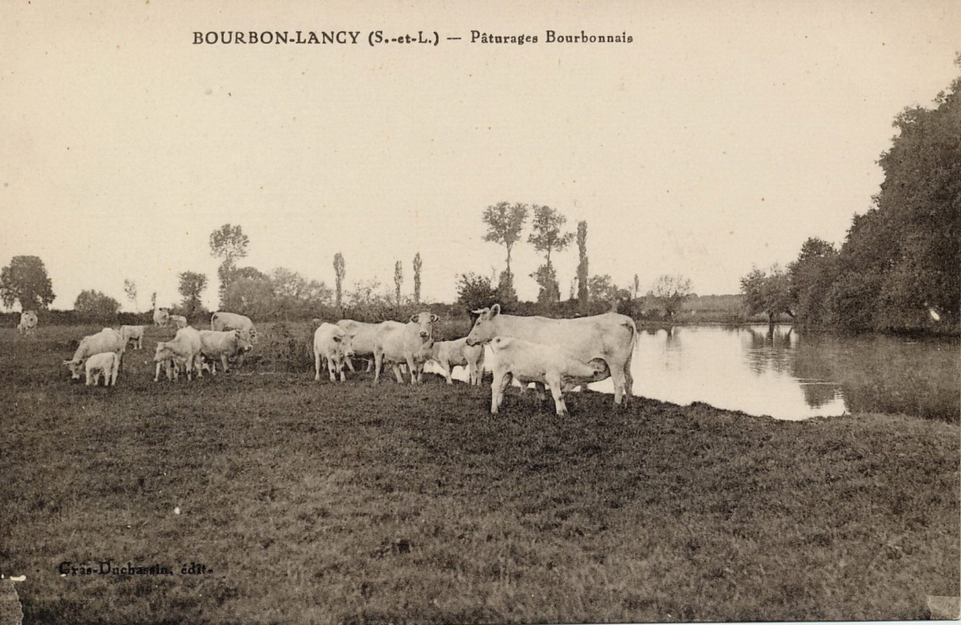 Bourbon-Lancy. Pâturages bourbonnais.