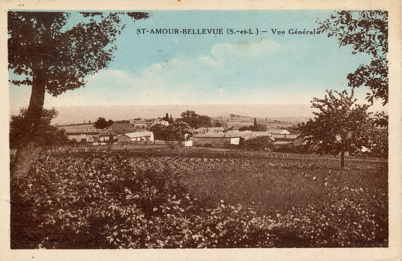 Saint-Amour Bellevue. Vue générale.