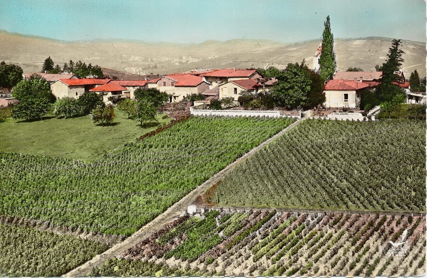 En avion au dessus-de Saint-Amour-Bellevue. Grand cru du Beaujolais. Les coteaux du bourg.