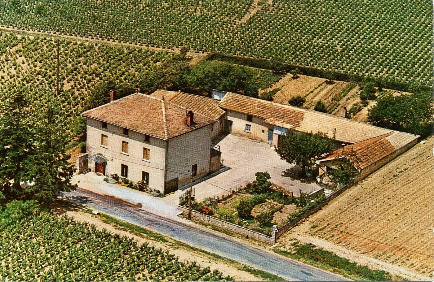 Saint-Amour-Bellevue. Elie Mongenie, propriétaire-viticulteur.
