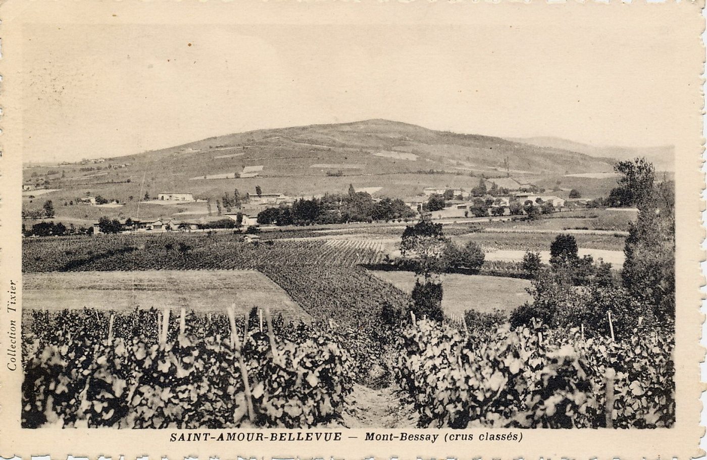 Saint-Amour-Bellevue. Mont Bessay (crus classés).