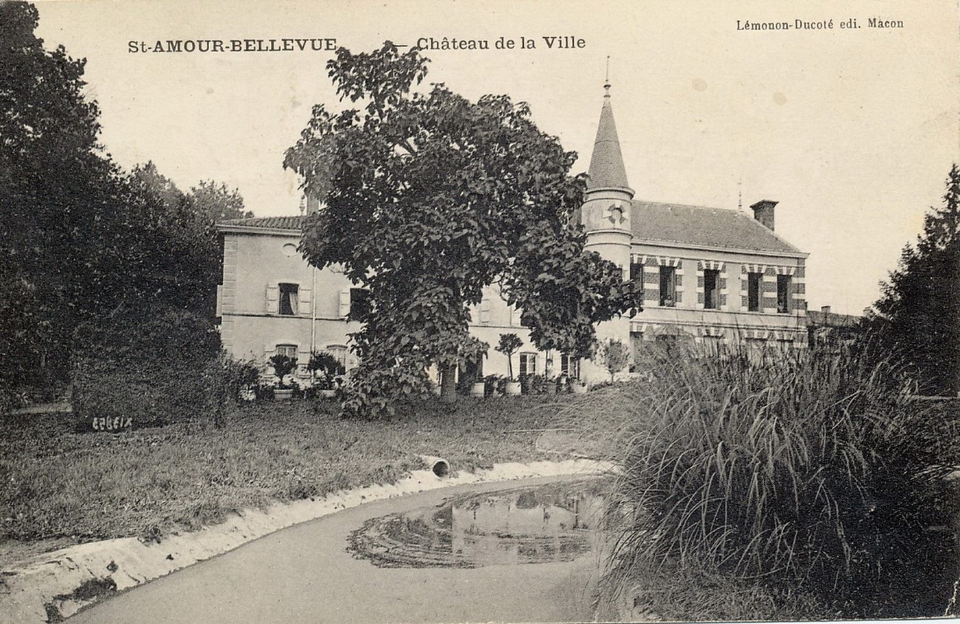 Saint-Amour-Bellevue. Le château de la ville.