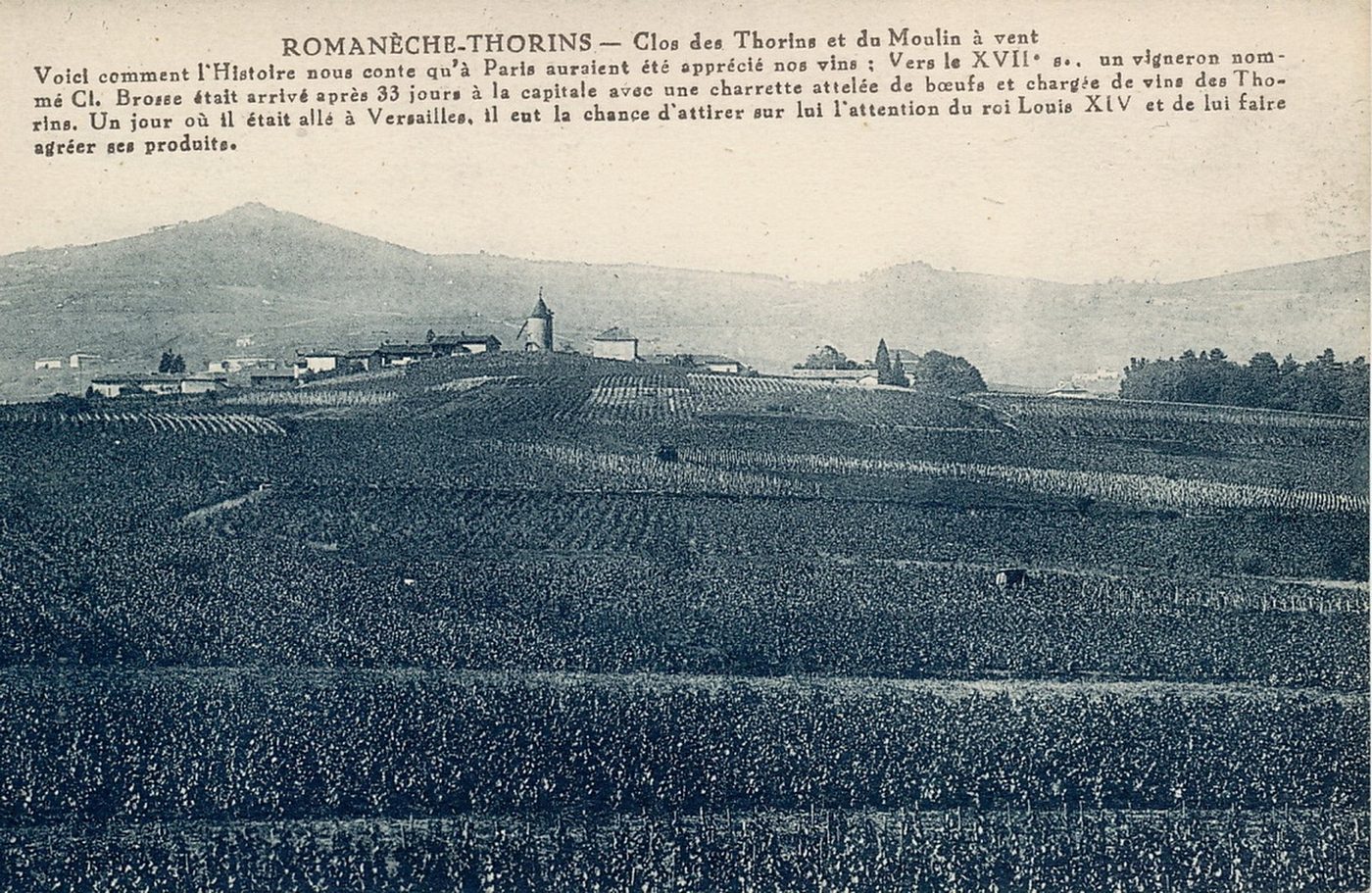 Romanèche-Thorins. Clos des Thorins et du Moulin à vent. Voici comment l'histoire nous conte qu'à Paris auraient été apprécié nos vins. Vers le XVIIe s. un vigneron nommé Claude Brosse était arrivé après 33 jours à la capitale avec une charrette attelée de boeufs et chargée de vins des Thorins. Un jour où il était allé à Versailles, il eut la chance d'attirer sur lui l'attention du roi Louis XIV et de lui faire agréer ses produits.