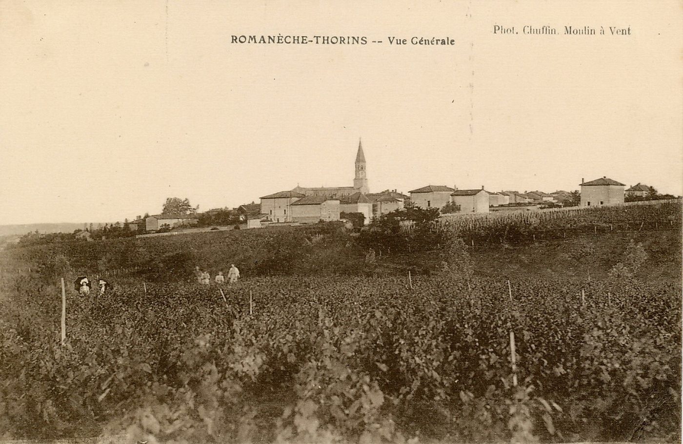 Romanèche-Thorins. Vue générale.