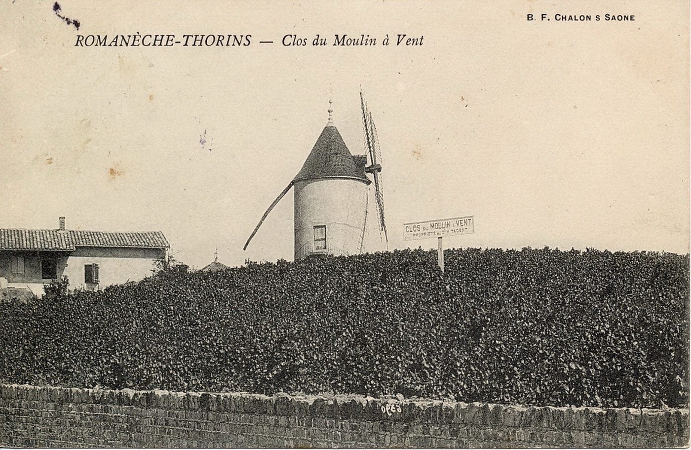 Romanèche-Thorins. Clos du Moulin à vent.
