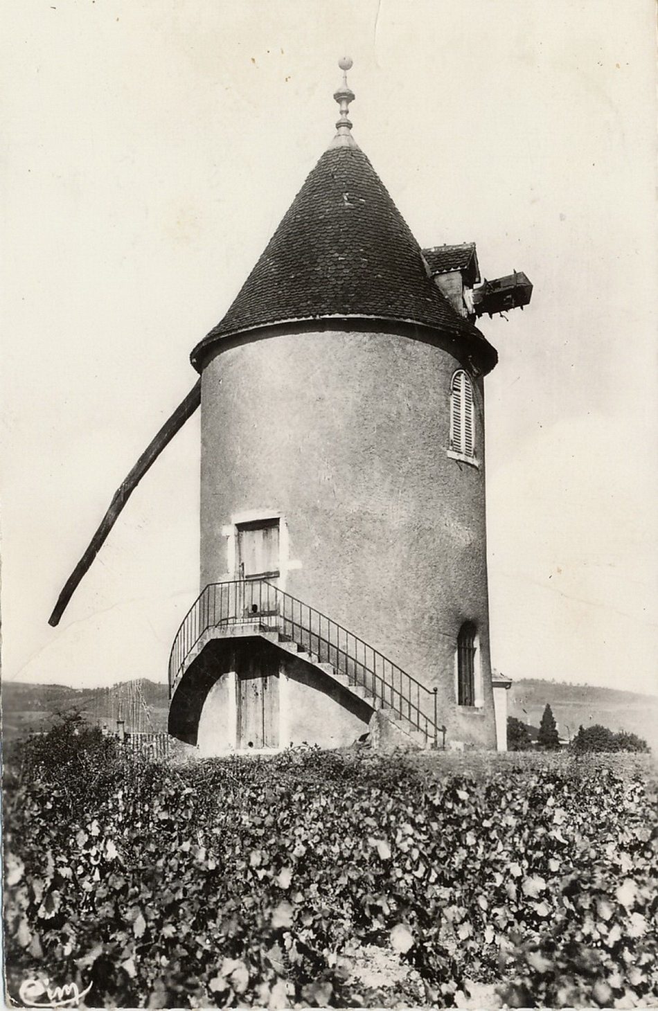 Romanèche-Thorins. Le Moulin à vent, vignoble célèbre dans le monde entier.