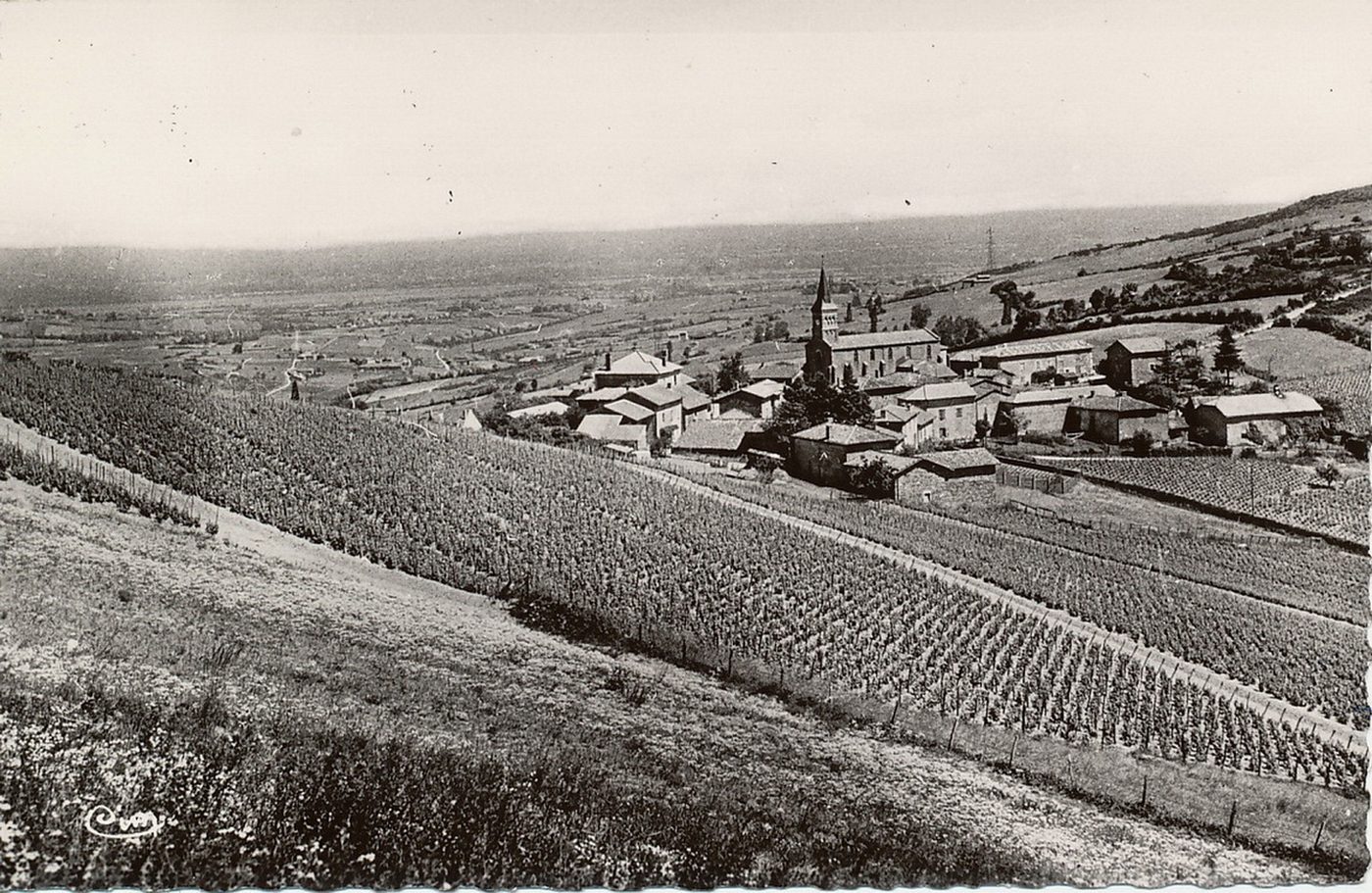 Pruzilly. Vue générale de la Croix-blanche.