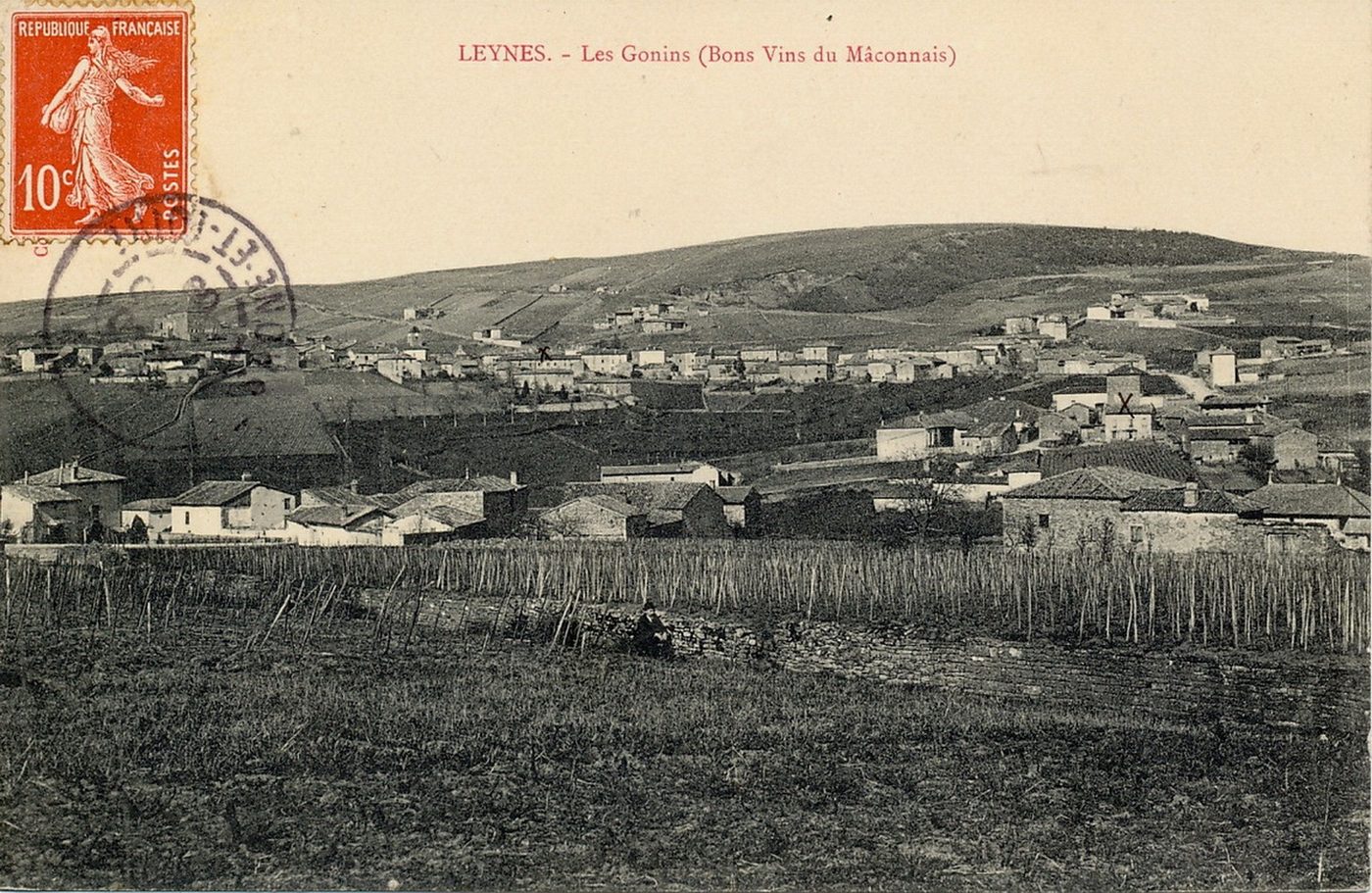 Leynes. Les Gonins (bons vins du Mâconnais).