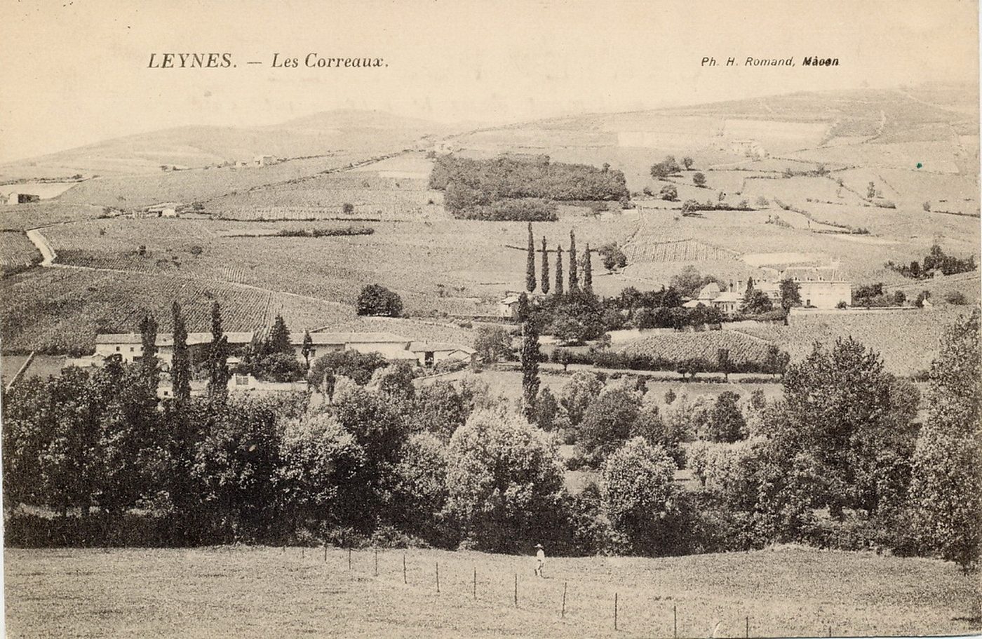 Leynes. Les Correaux.