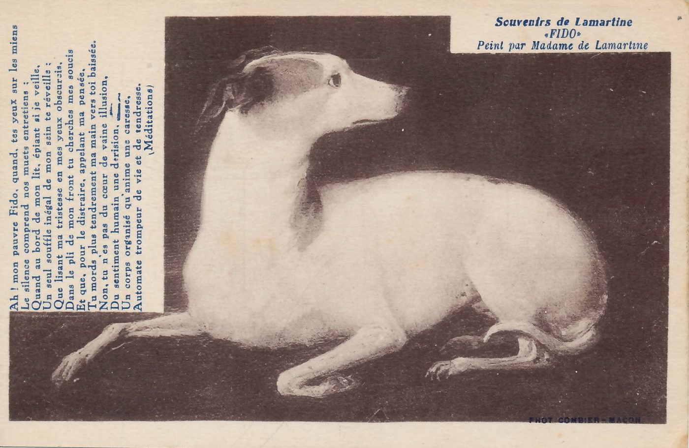 Souvenirs de Lamartine, Fido peint par Mme de Lamartine.