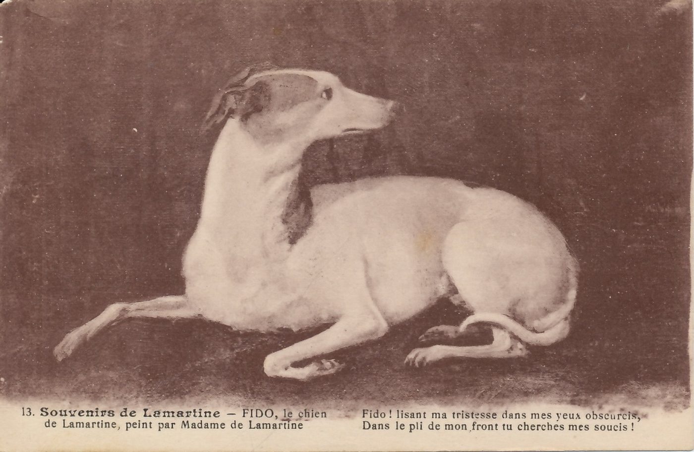 Souvenirs de Lamartine, 13. Fido le chien peint par Mme de Lamartine..
